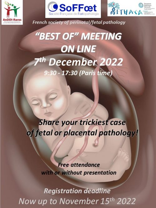 Image Journée Soffoet dec 2022