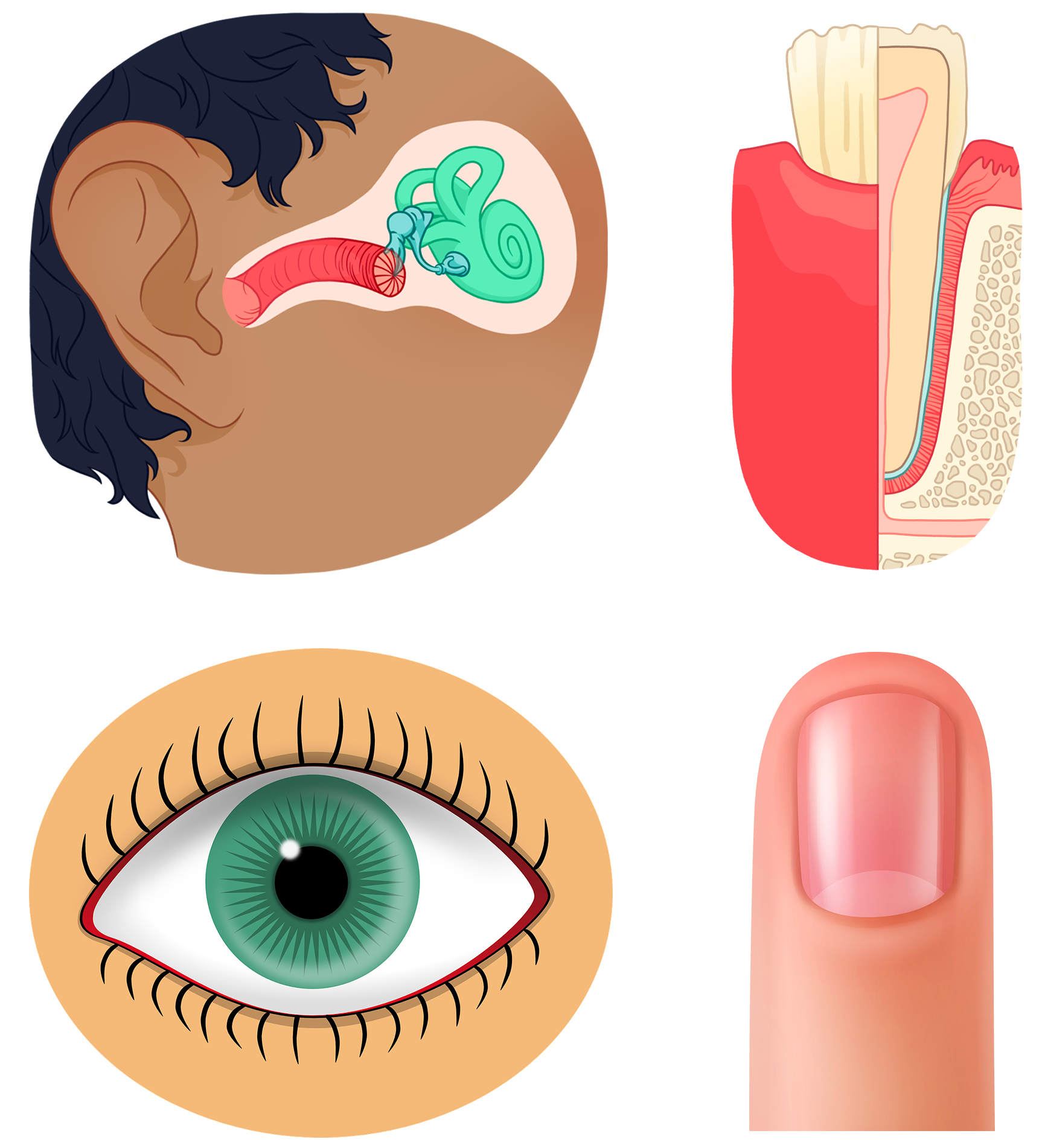 Image syndrome Heimler V2