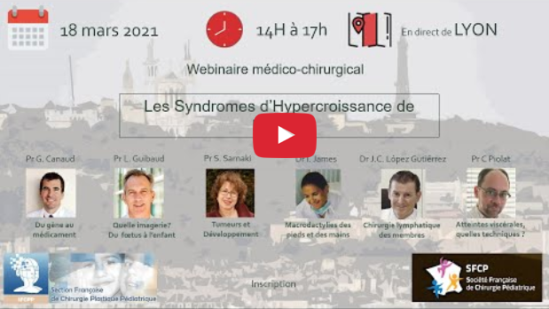 Image webinaire SFCPP PIK3CA