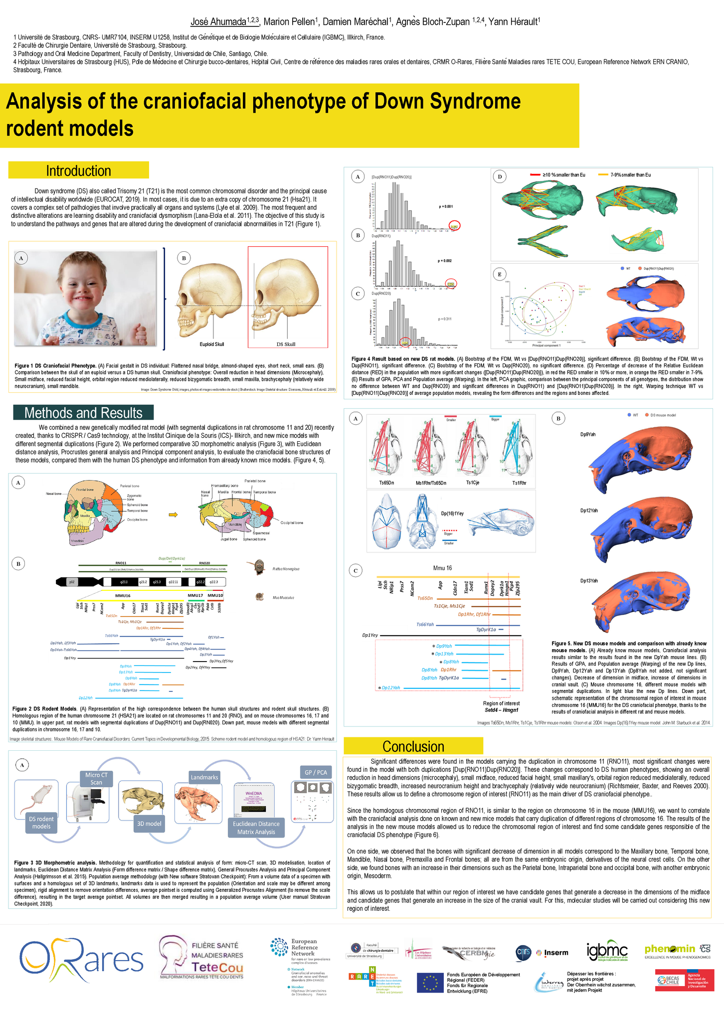 Poster AHUMADA TETECOU